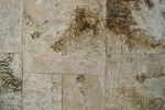 DSC_1275.jpg