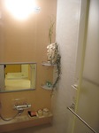 IMG_3910.jpg