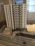 IMG_4538.jpg