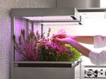 herbpot_05.jpg