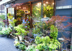 store_shibuya_1[1].jpg
